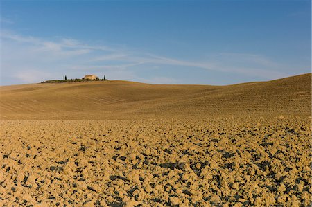 simsearch:841-07457467,k - Typical Tuscan parched landscape near Pienza in Val D'Orcia, Tuscany, Italy Photographie de stock - Rights-Managed, Code: 841-07540608