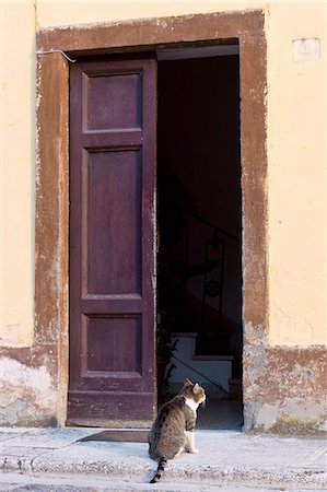 Domestic cat at at Monte Amiata Station in Val D'Orcia,Tuscany, Italy Photographie de stock - Rights-Managed, Code: 841-07540621