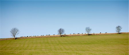 The Heythrop Hunt near Stow-on-the-Wold, Gloucestershire for the traditional New Year's Day Hunt Meet, The Cotswolds, UK Foto de stock - Con derechos protegidos, Código: 841-07540682