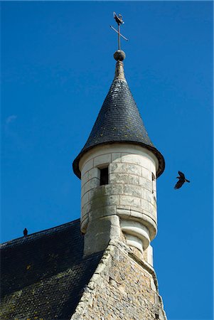 Pair of Jackdaws, Corvus monedula, nesting in a turret in Parce-Sur-Sarthe, France Photographie de stock - Rights-Managed, Code: 841-07540734