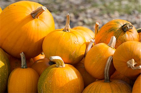 shopping in health store vitamins - Pumpkin squash for sale at roadside stall in Pays de La Loire, France Stock Photo - Rights-Managed, Code: 841-07540730