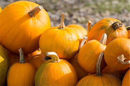 shopping in health store vitamins - Pumpkin squash for sale at roadside stall in Pays de La Loire, France Photographie de stock - Rights-Managed, Code: 841-07540730