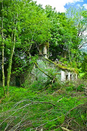 Derelict traditional period old stone cottage overgrown and in need of renovation at Tallow, County Waterford, Ireland Stock Photo - Rights-Managed, Code: 841-07540765