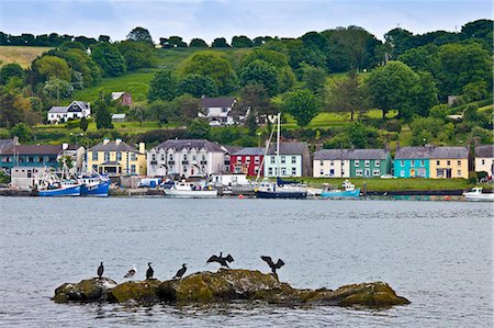 quayside - Cormorant birds and Black Backed Gull in Courtmacsharry Bay, County Cork, Ireland Stock Photo - Rights-Managed, Code: 841-07540777