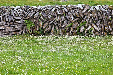 drystone wall - Traditional dry stone wall and meadow in The Burren, County Clare, West of Ireland Foto de stock - Con derechos protegidos, Código: 841-07540803