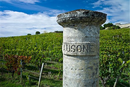 Chateau Ausone vineyard  in St Emilion in Bordeaux wine region of France Stock Photo - Rights-Managed, Code: 841-07540883