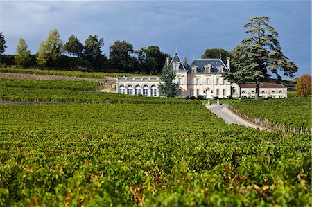 Chateau Fonplegade in the town of St Emilion, Bordeaux, France Foto de stock - Direito Controlado, Número: 841-07540890