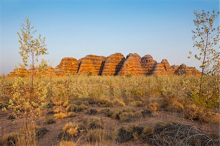 simsearch:841-02703810,k - The beehive-like mounds, Purnululu National Park, UNESCO World Heritage Site, Bungle Bungle Mountain Range, Western Australia, Australia, Pacific Foto de stock - Con derechos protegidos, Código: 841-07541114