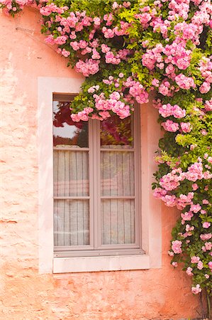 robertharding - A rose covered window in the village of Noyers sur Serein in Yonne, Burgundy, France, Europe Photographie de stock - Rights-Managed, Code: 841-07541157