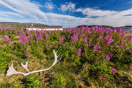 The abandoned Moravian Mission site at Hebron, evacuated in 1959, Labrador, Canada, North America Photographie de stock - Rights-Managed, Code: 841-07589837