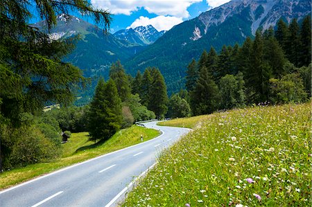 european roads not people not lifestyle not illustration - Route past Alpine flower meadows in the Swiss National Park, the Swiss Alps, Switzerland, Europe Photographie de stock - Rights-Managed, Code: 841-07589928