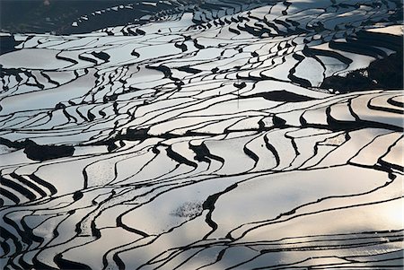 simsearch:841-09086502,k - Terraced paddy-fields, Yuanyang, Yunnan, China, Asia Foto de stock - Direito Controlado, Número: 841-07590079