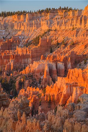 simsearch:841-07590157,k - Bryce Canyon at dawn, from Sunset Point, Bryce Canyon National Park, Utah, United States of America, North America Stock Photo - Rights-Managed, Code: 841-07590147