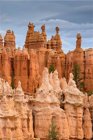 simsearch:841-07590157,k - Bryce Canyon at dawn, from Sunset Point, Bryce Canyon National Park, Utah, United States of America, North America Stock Photo - Rights-Managed, Code: 841-07590150