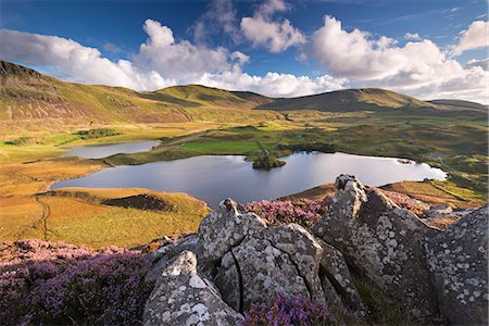 Sunlit mountains surrounding Cregennen Lakes, Snowdonia National Park, Wales, United Kingdom, Europe Photographie de stock - Rights-Managed, Code: 841-07590328