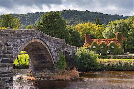 Ty Hwnt i'r Bont ivy covered cottage and tea rooms beside stone bridge crossing the River Conwy at Llanwrst, Snowdonia National Park, Wales, United Kingdom, Europe Stockbilder - Lizenzpflichtiges, Bildnummer: 841-07590332