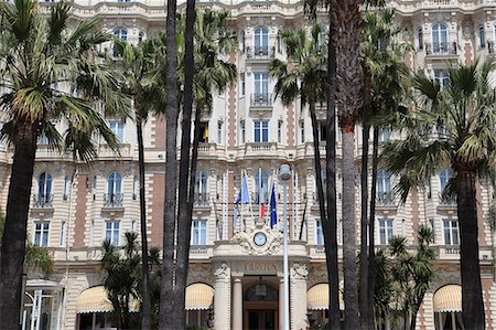 french riviera palm - Carlton Hotel, Carlton InterContinental, La Croisette, Cannes, Cote d'Azur, Provence, French Riviera, France, Europe Stock Photo - Rights-Managed, Code: 841-07590401