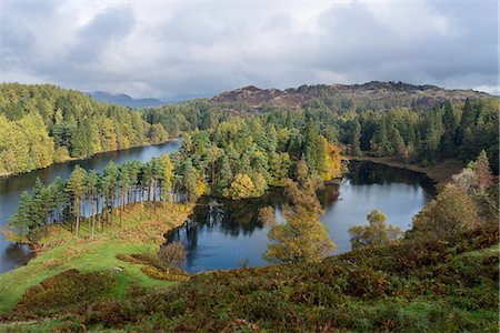 An autumn view of Tarn Hows, Lake District National Park, Cumbria, England, United Kingdom, Europe Photographie de stock - Rights-Managed, Code: 841-07590500