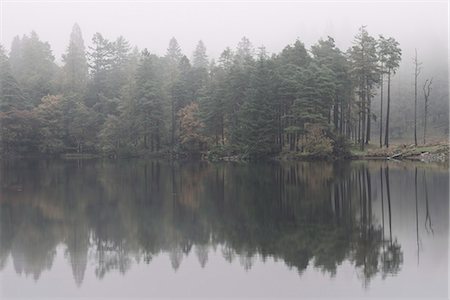 Misty morning reflections on an autumn morning at Tarn Hows, Lake District National Park, Cumbria, England, United Kingdom, Europe Foto de stock - Con derechos protegidos, Código: 841-07590501
