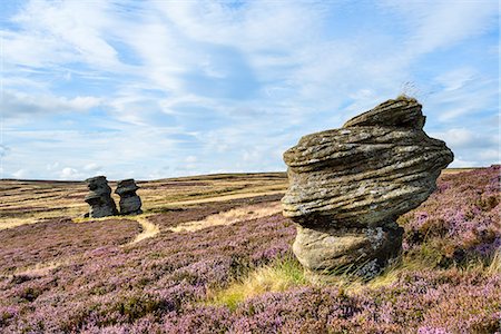 Jenny Twigg and her daughter Tib, gritstone formations on heather covered moors, Upper Nidderdale, North Yorkshire, Yorkshire, England, United Kingdom, Europe Foto de stock - Con derechos protegidos, Código: 841-07590549