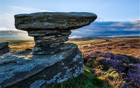 Gritstone rock formations amongst the heather clad moors of Upper Nidderdale, North Yorkshire, Yorkshire, England, United Kingdom, Europe Foto de stock - Con derechos protegidos, Código: 841-07590550