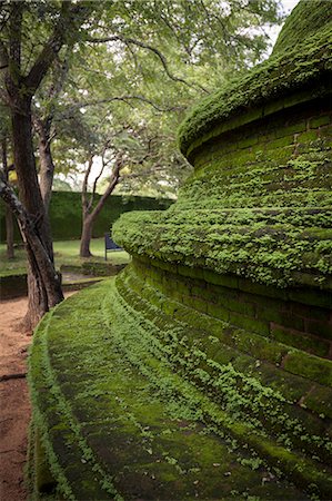 sri lankan culture - Ridges of the dome shaped structure in the Kiri Vihara Buddhist temple ruins, Polonnaruwa, UNESCO World Heritage Site, Sri Lanka, Asia Stock Photo - Rights-Managed, Code: 841-07600047