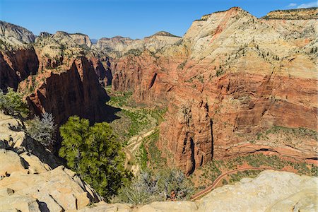 simsearch:841-07600161,k - View from Angels Landing, Zion National Park, Utah, United States of America, North America Fotografie stock - Rights-Managed, Codice: 841-07600174