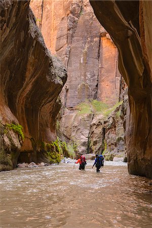 parque nacional zion - Virgin River Narrows, Zion National Park, Utah, United States of America, North America Foto de stock - Con derechos protegidos, Código: 841-07600180