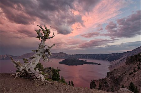 sunset landscape trees outdoors - Sunset at Crater Lake with Wizard Island, Crater Lake National Park, Oregon, United States of America, North America Stock Photo - Rights-Managed, Code: 841-07600199
