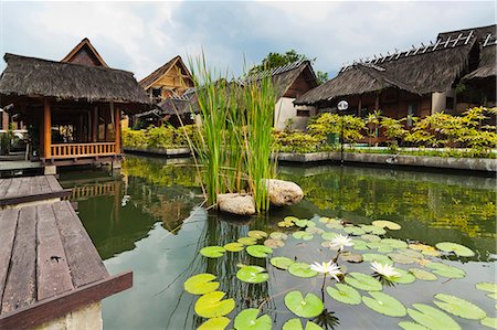 estanque - Traditional kampung style rooms over carp ponds at the Kampung Sumber Alam hot springs hotel, Garut, West Java, Java, Indonesia, Southeast Asia, Asia Foto de stock - Con derechos protegidos, Código: 841-07600270