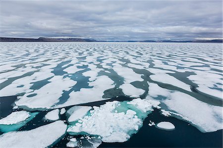 Shorefast ice starting to melt in Maxwell Bay, Devon Island, Nunavut, Canada, North America Foto de stock - Con derechos protegidos, Código: 841-07653025