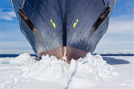 simsearch:841-07653054,k - The Lindblad Expeditions ship National Geographic Explorer wedged into fast ice, Duse Bay, Weddell Sea, Antarctica, Polar Regions Photographie de stock - Rights-Managed, Code: 841-07653052