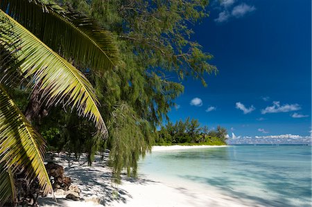 seychelles and beach - Denis Island, Seychelles, Indian Ocean, Africa Stock Photo - Rights-Managed, Code: 841-07653234