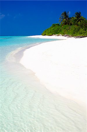 Tropical beach, Maldives, Indian Ocean, Asia Foto de stock - Con derechos protegidos, Código: 841-07653330