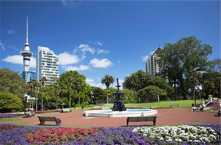 View of Sky Tower from Albert Park, Auckland, North Island, New Zealand, Pacific Foto de stock - Direito Controlado, Número: 841-07653343