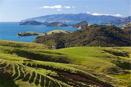 pacifique du sud - Coastline looking north towards Coromandel and Hauraki Gulf, Coromandel Peninsula, Waikato, North Island, New Zealand, Pacific Photographie de stock - Rights-Managed, Code: 841-07653514