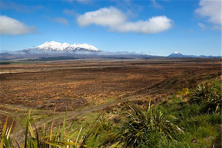 Mount Ruapehu and Mount Ngauruhoe viewed from Highway 1 Desert Road, Tongariro National Park, UNESCO World Heritage Site, North Island, New Zealand, Pacific Foto de stock - Con derechos protegidos, Código: 841-07653519