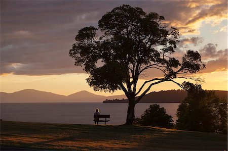 paz - Bench and tree overlooking Lake Taupo, Taupo, North Island, New Zealand, Pacific Foto de stock - Con derechos protegidos, Código: 841-07653522