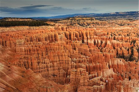 Silent City hoodoos on a cloudy winter afternoon, Bryce Amphitheatre, Inspiration Point, Bryce Canyon National Park, Utah, United States of America, North America Photographie de stock - Rights-Managed, Code: 841-07673350