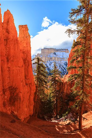 parc national de bryce canyon - Peekaboo Loop Trail switchbacks wind through hoodoos lit by early morning sun in winter, Bryce Canyon National Park, Utah, United States of America, North America Photographie de stock - Rights-Managed, Code: 841-07673363