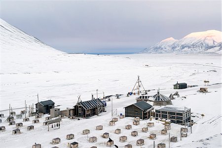 Husky dog sled operation where each dog has its own kennel raised off ground and seal carcasses are hung nearby to feed the animals, Svalbard, Arctic, Norway, Scandinavia, Europe Foto de stock - Direito Controlado, Número: 841-07673376