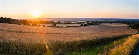 surrey - Sunset over fields just outside Guildford, Surrey, England, United Kingdom, Europe Stock Photo - Rights-Managed, Code: 841-07781877