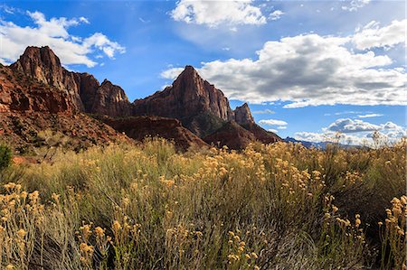 Desert brush and the Watchman in winter, Zion Canyon, Zion National Park, Utah, United States of America, North America Foto de stock - Con derechos protegidos, Código: 841-07781999
