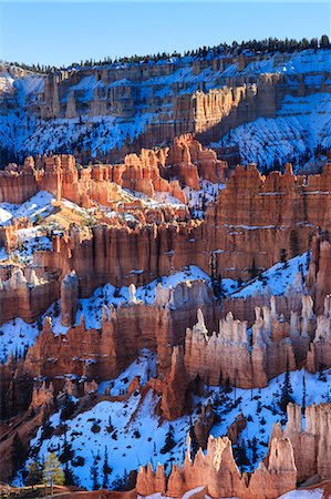 parc national de bryce canyon - Hoodoos and snowy rim cliffs lit by late afternoon sun, winter, near Sunrise Point, Bryce Canyon National Park, Utah, United States of America, North America Photographie de stock - Rights-Managed, Code: 841-07781991