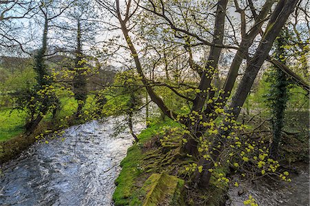derbyshire - River Wye, trees and Peak Tor in spring, Rowsley, Derbyshire, England, United Kingdom, Europe Foto de stock - Con derechos protegidos, Código: 841-07782012