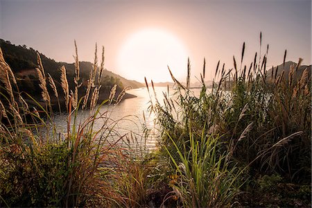 Reeds and setting sun at the shore of Qiandao Lake in Zhejiang province, China, Asia Photographie de stock - Rights-Managed, Code: 841-07782062