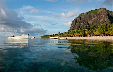 Late afternoon reflections of Le Morne Brabant and palm trees in the sea, Le Morne Brabant Peninsula, south west Mauritius, Indian Ocean, Africa Foto de stock - Con derechos protegidos, Código: 841-07782144