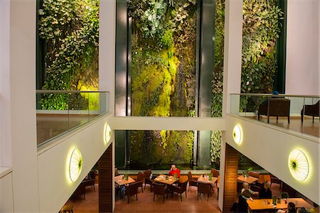 europe coffee shop - Vertical garden or living wall designed by Patrick Blanc at the Dussman Das Kulturkaufhaus in Berlin, Gemany, Europe Stock Photo - Rights-Managed, Code: 841-07782182