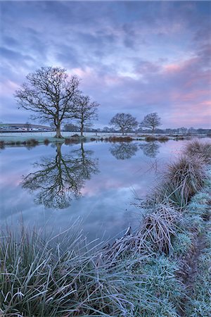 Frosty winter morning beside a rural pond, Morchard Road, Devon, England, United Kingdom, Europe Fotografie stock - Rights-Managed, Codice: 841-07782527