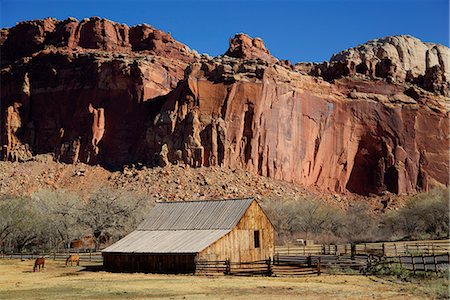 parco nazionale di capitol reef - Historic Gifford Homestead Barn dating from 1908, Capitol Reef National Park, Utah, United States of America, North America Fotografie stock - Rights-Managed, Codice: 841-07782630